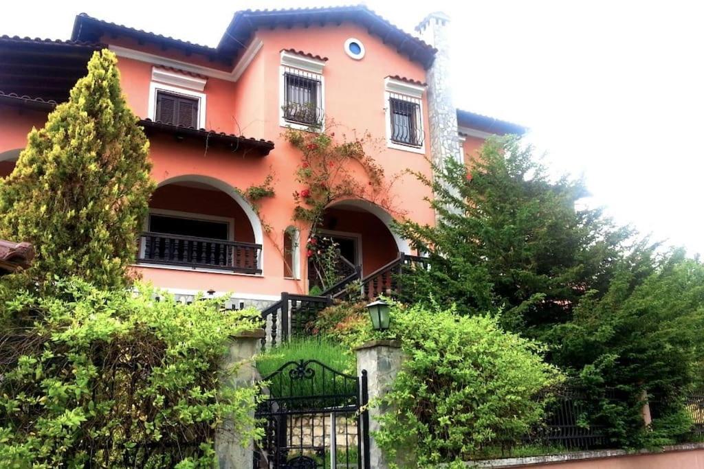 Villa Tethys Mountain Resort Zákasz Kültér fotó