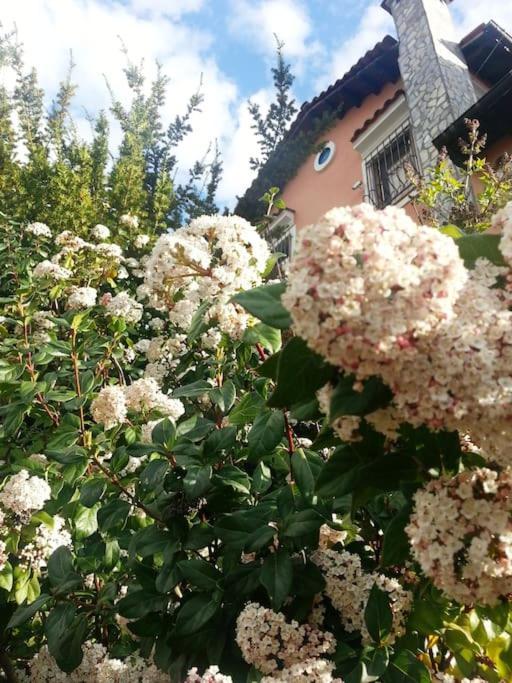 Villa Tethys Mountain Resort Zákasz Kültér fotó