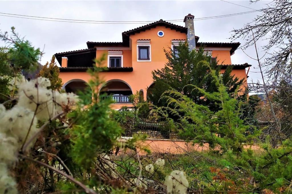 Villa Tethys Mountain Resort Zákasz Kültér fotó
