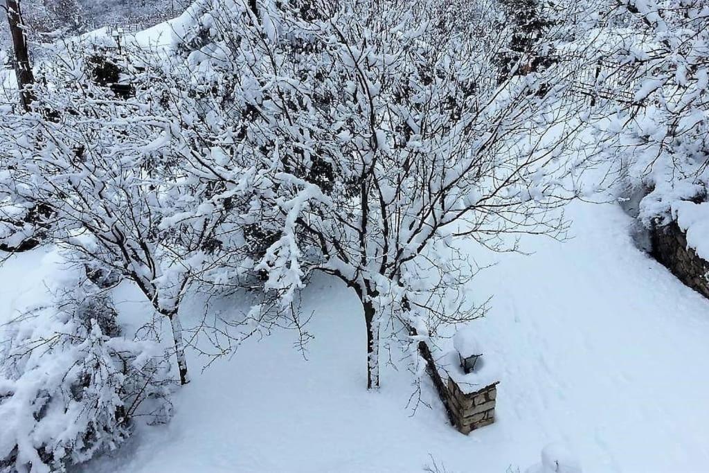 Villa Tethys Mountain Resort Zákasz Kültér fotó