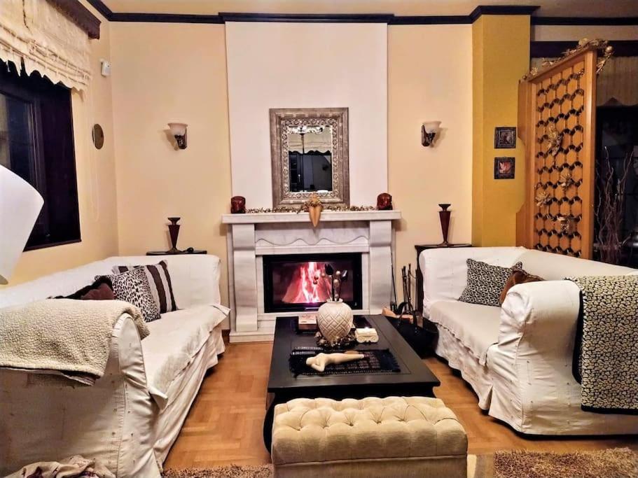 Villa Tethys Mountain Resort Zákasz Kültér fotó