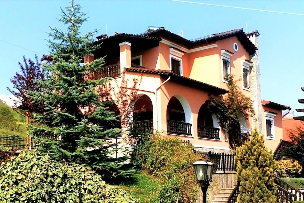Villa Tethys Mountain Resort Zákasz Kültér fotó