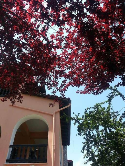Villa Tethys Mountain Resort Zákasz Kültér fotó