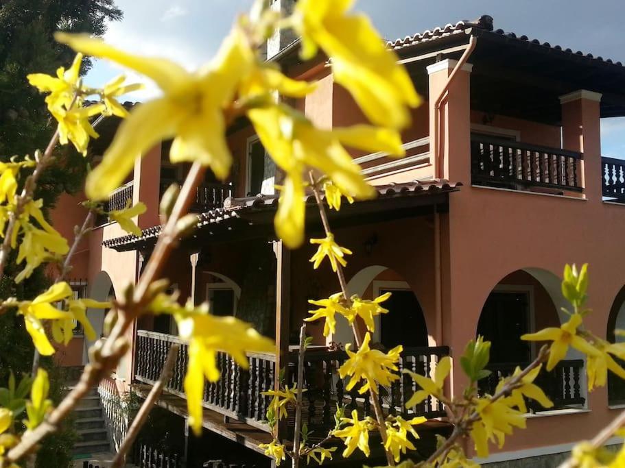 Villa Tethys Mountain Resort Zákasz Kültér fotó
