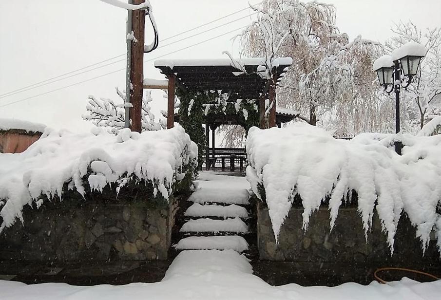 Villa Tethys Mountain Resort Zákasz Kültér fotó